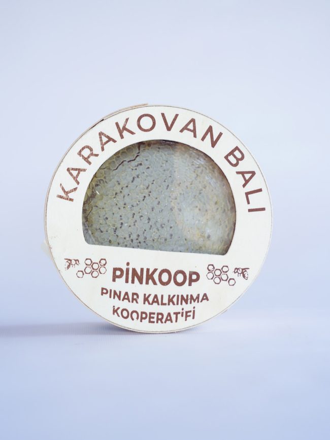 KSK06706